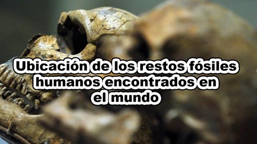 ubicacion de los restos fosiles humanos en el mundo