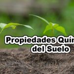 Propiedades Químicas del Suelo