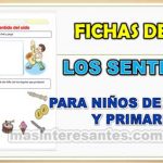 Fichas de los sentidos para niños