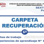 Carpetas de Recuperación para Primaria