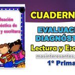 Evaluación Diagnóstica de Lectura y EScritura 1º Primaria