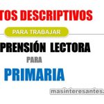 Textos descriptivos para Primaria