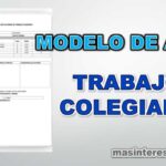 Acta de Trabajo Colegiado