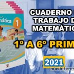 Cuaderno de Trabajo de Matemática Primaria