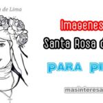 Imágenes de Santa Rosa de Lima para pintar