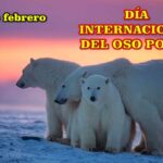 Día internacional del Oso Polar