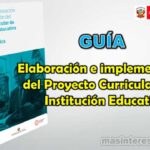 Guia elaboracion e implementacion Proyecto Curricular IIEE