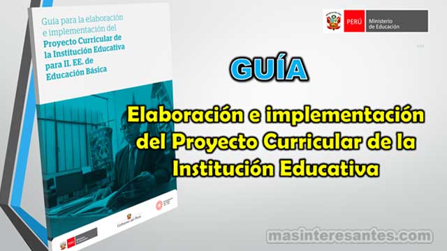 Guia elaboracion e implementacion Proyecto Curricular IIEE