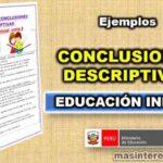 Conclusiones Descriptivas Inicial