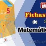 Libros con Fichas de Matemática