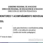 Plan de monitoreo y acompañamiento docente