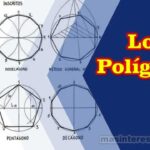 Los polígonos