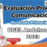 Evaluación de Proceso de Comunicación para el 4to Grado de Primaria, Ugel Andahuaylas