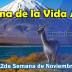 Semana de la vida animal, Segunda semana del mes de noviembre