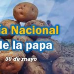 Día Nacional de la Papa se conmemora el 30 de mayo de cada año