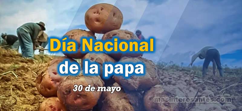 Día Nacional de la Papa se conmemora el 30 de mayo de cada año