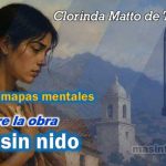 Infografía, mapas mentales, conceptuales y otros recursos de la obra Aves sin nido de Clorinda matto de Turner