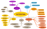 Mapa mental de autoestima